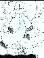 misc 003.jpg